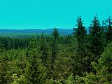 Pohled z Věžních skal na severozápad. Uprostřed z hlubokého lesa vykukují Pytlácké kameny a dál Paličník, úplně vpravo je Smrk.