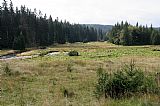 Pohled ze silničky mezi Modravou a Javoří slatí na plochý hřeben vrcholu Nad Roklanským potokem v místě soutoku Roklanského a Javořího potoka.