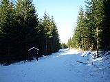 Sedlem mezi Obrovcem a Obrovcem - JV vrcholem vede lesní cesta.
