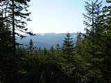 Jediný výhled z vrcholu Sokola je úzkým lesním průsekem směrem na západ.